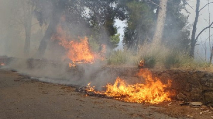 Emergenza incendi a Palermo: case evacuate, una famiglia bloccata
