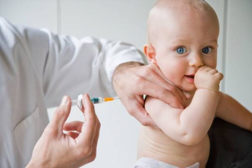 Scuola, proroga certificati vaccini: Fedeli smentisce la possibilità Scuola, proroga certificati vaccini: Fedeli smentisce la possibilità