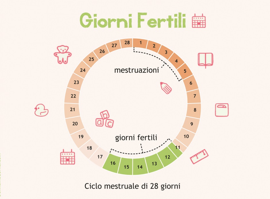calendario ciclo mestruale