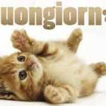 immagini buongiorno