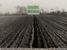 L’archivio Vincenzo Agnetti tra poesia e immagini Agnetti mostra Milano