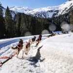 Madonna di Campiglio