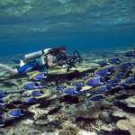 Banyan Tree Angsana Ihuru Resort