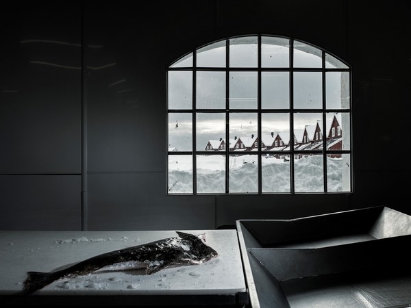 Valentina Tamborra mostra MIlano