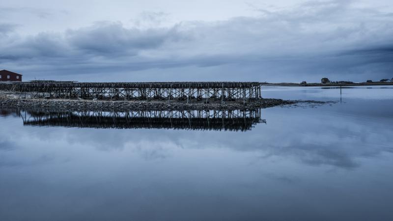 Valentina Tamborra mostra MIlano
