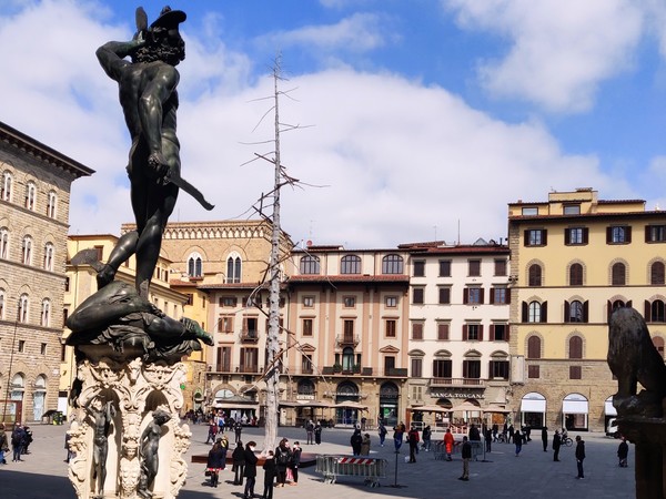 Giuseppe Penone Abete Uffizi Firenze