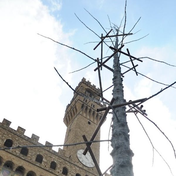 Giuseppe Penone Abete Uffizi Firenze