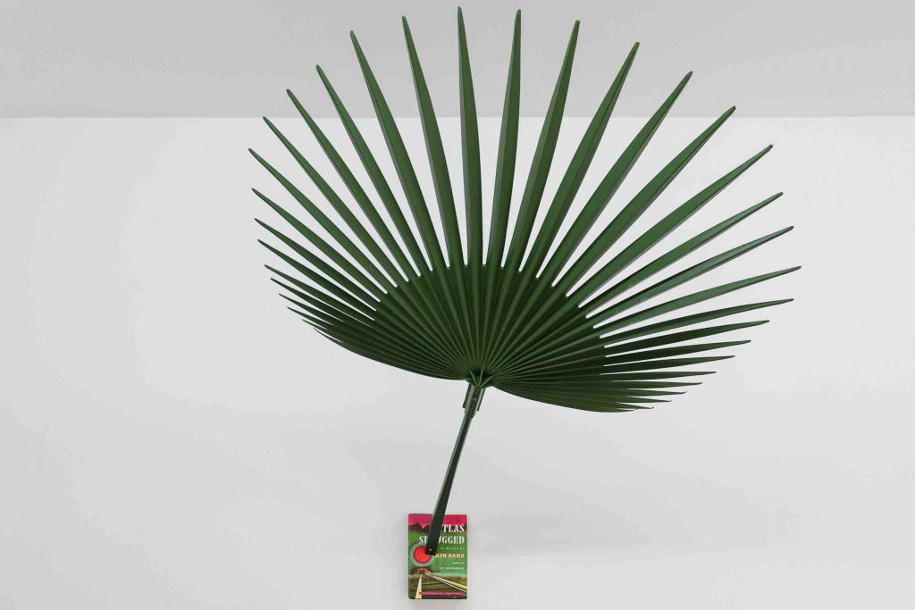 Past/ Present mostra lugano galleria Michela Negrini