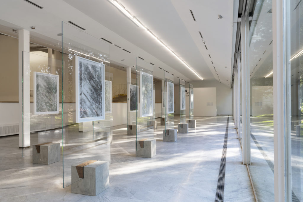 Luisa Lambri mostra PAC Milano