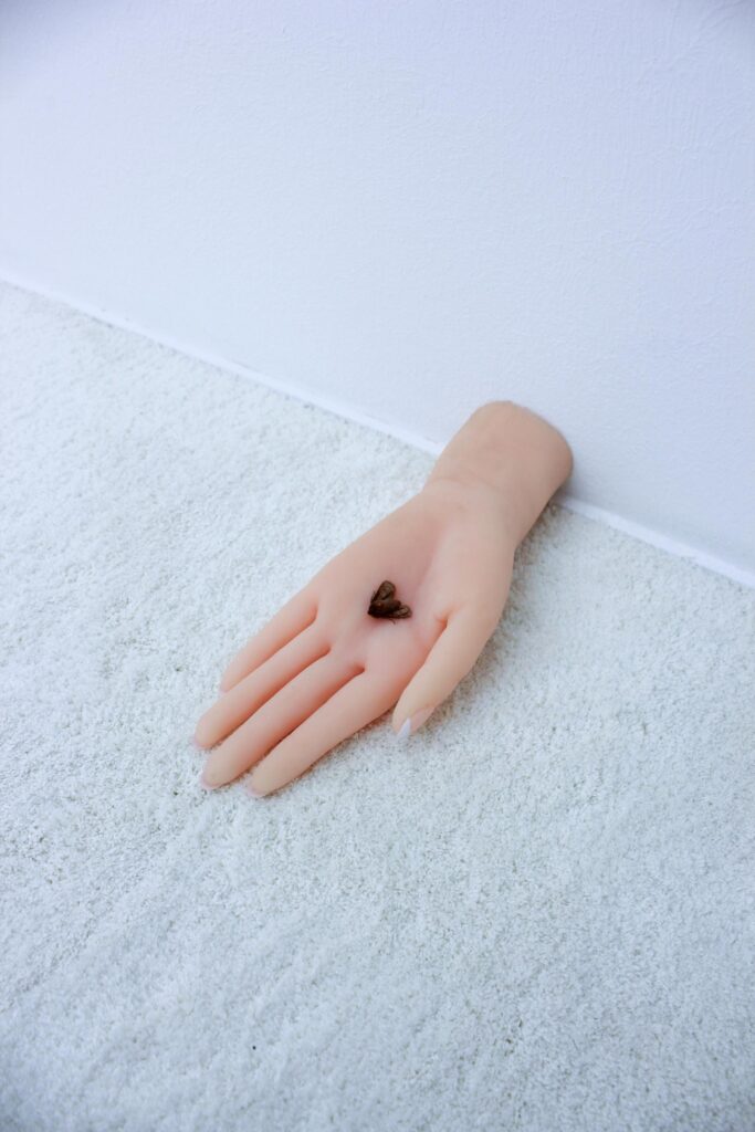 Platform21 MASI Lugano