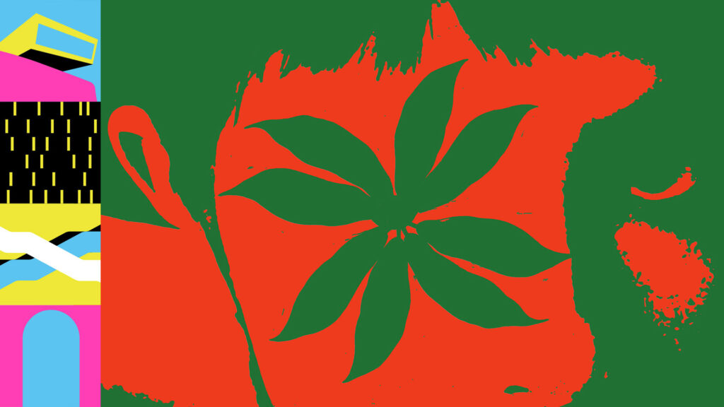 Flowers of Taiwan MAXXI