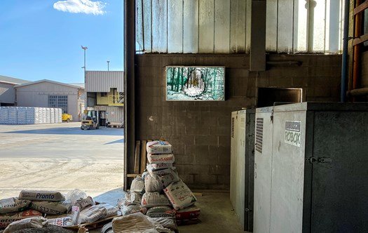 LUCE NATURALE gabriele basilico luca santiago mora mostra parma