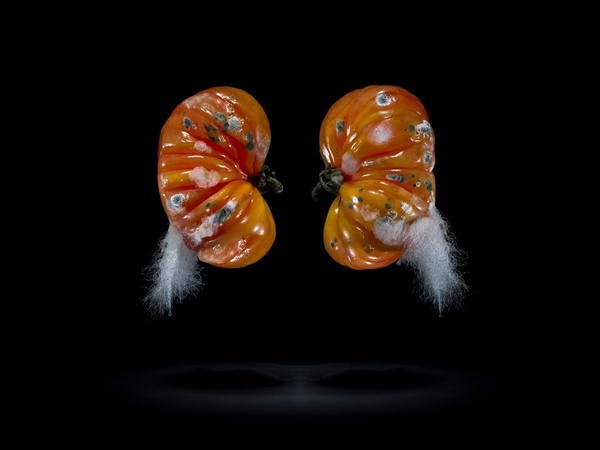 TOUCH NATURE mostra collettiva Roma