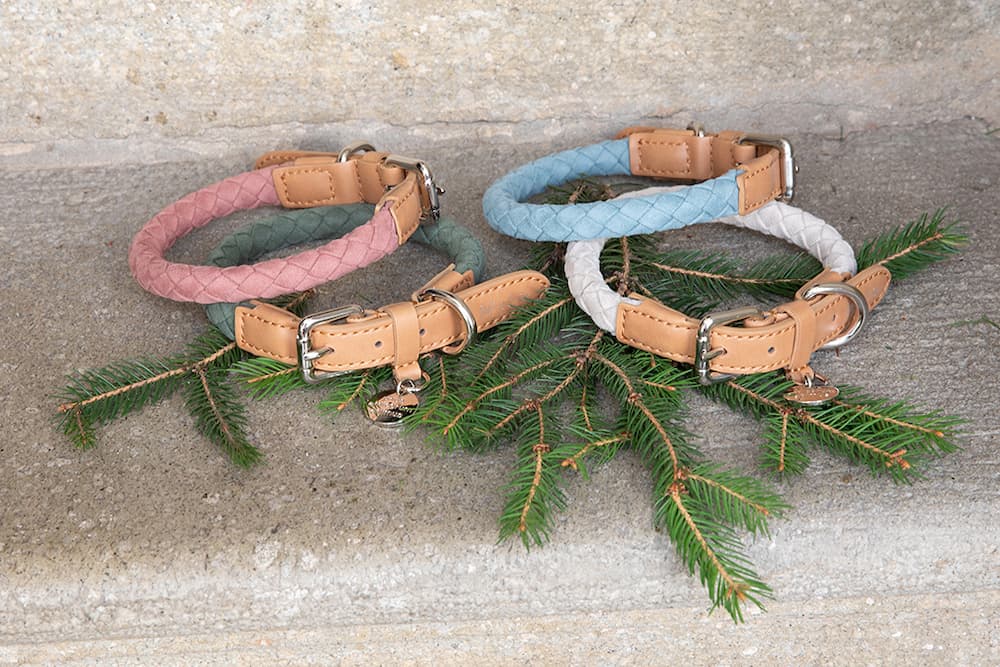 2.8 design for dogs Collari Ferdinando Greenie