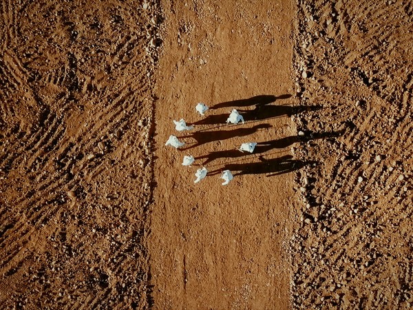 Rethinking Nature mostra MADRE Napoli