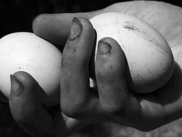 denis piel personale galleria gracis milano