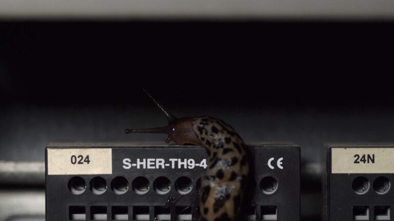 OGR Torino mostra Maria Hassabi Nina Canell