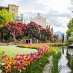 I tulipani di Trauttmansdorff