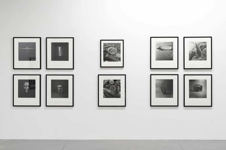 Charlotte Perriand mostra milano M77