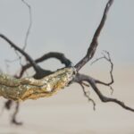 zeroottouno mostra fabbrica eos milano