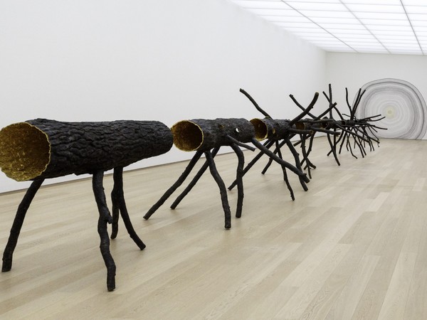 Giuseppe Penone mostra galleria borghese roma