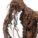 FRANCESCO DI LUCA, RUSTICLES 2023, TECNICA MISTA FERRO SALDATO OSSIDI DI FERRO E RAME POLIURETANO, 208 X 105 X 60CM, dettaglio