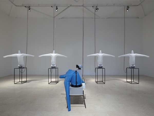 Anna Franceschini mostra milano triennale