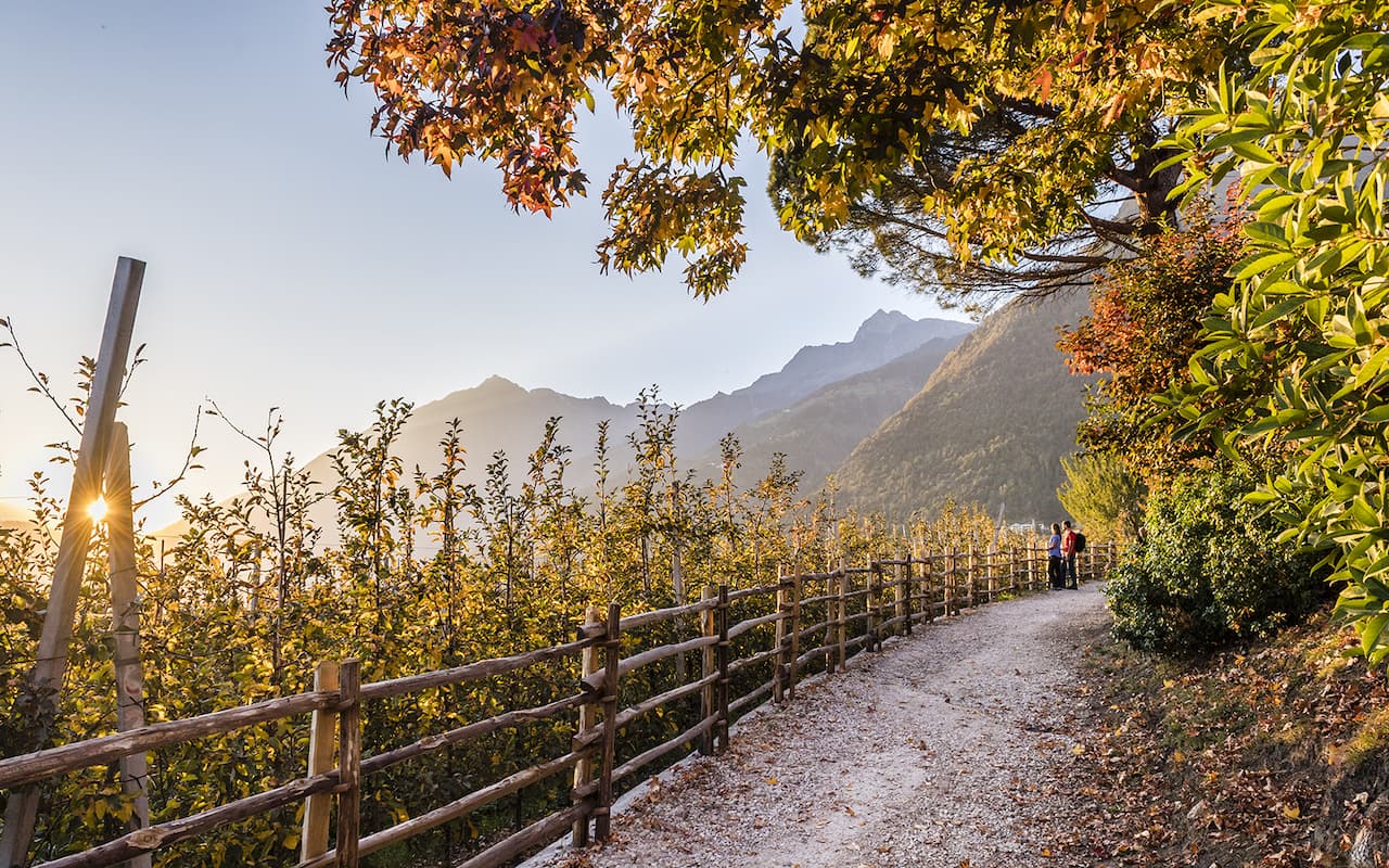 foto di Niederkofler Hannes