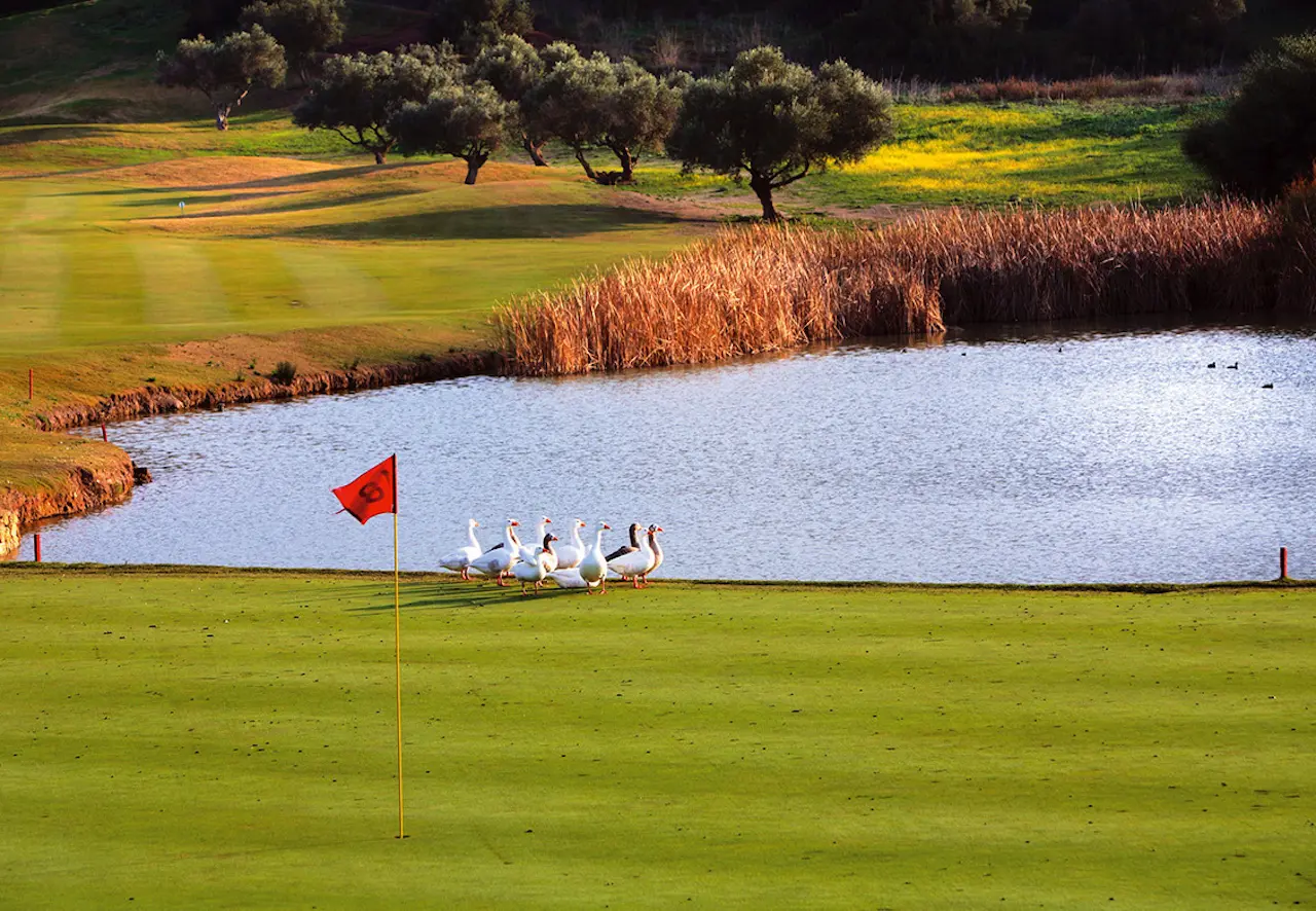 Barceló Montecastillo Golf & Sport Resort