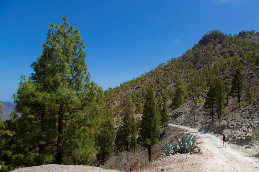 Isole Canarie Gran Canaria Camino de Santiago - Tunte