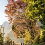 A Tirolo, gli scenari creati dalla natura sono incredibili nelle settimane dell’Indian Summer, tra la metà di ottobre e quella di novembre.