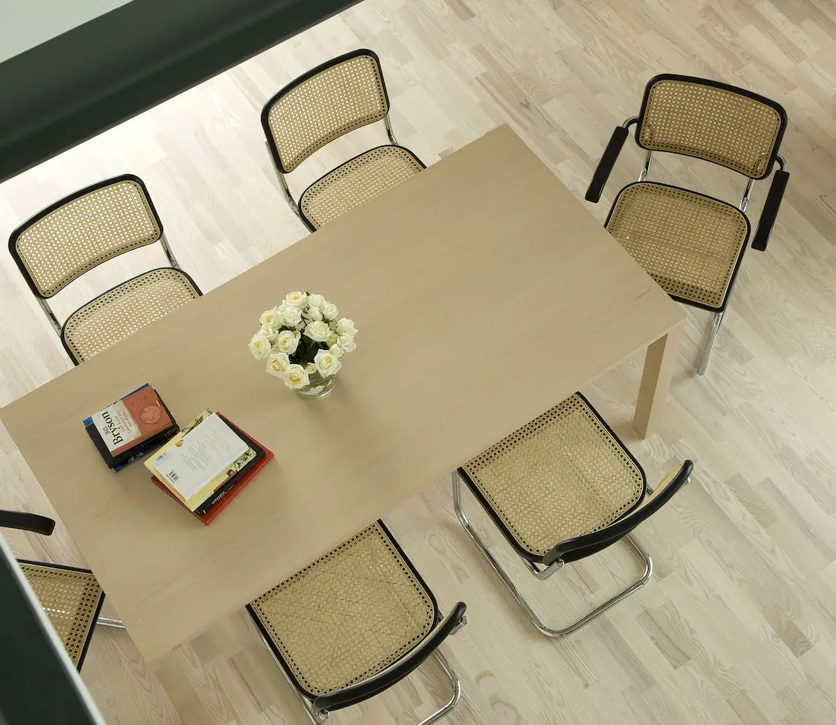 Thonet e la canna d'India