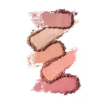 The Elizabeth Arden Blush